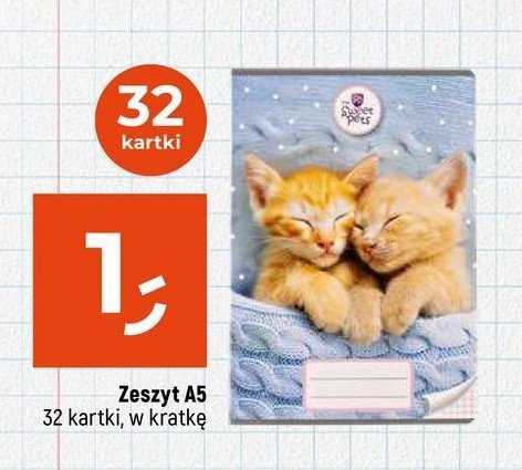 Zeszyt a5 32 k. kratka promocja