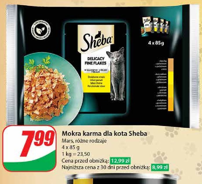 Karma dla kota smaki drobiowe Sheba delicacy in jelly promocja w Dino