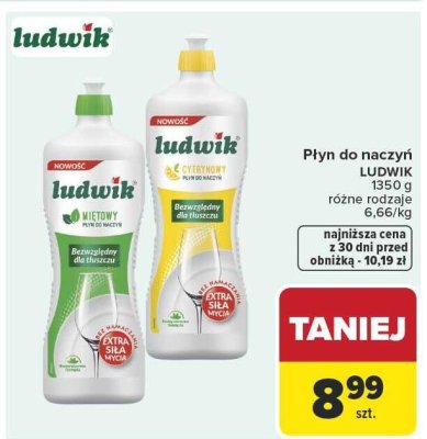Płyn do naczyń LUDWIK różne rodzaje promocja w Carrefour