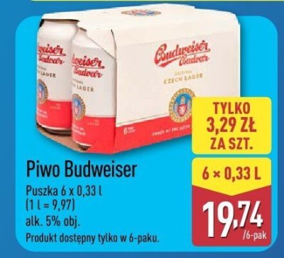 Piwo Budweiser 6 x 0,33 l promocja w Aldi