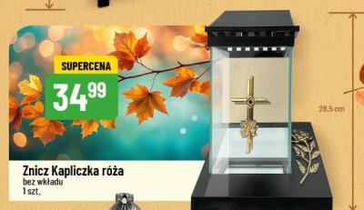 Znicz Kapliczka róża bez wkładu promocja w POLOmarket