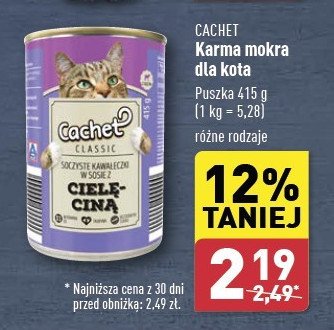 Karma dla kota z cielęciną Cachet promocja