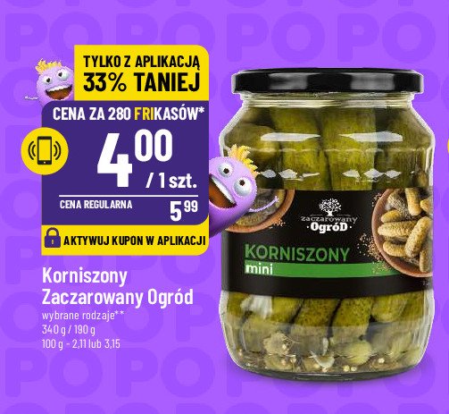 Korniszony mini Zaczarowany ogród promocja