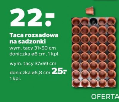 Taca rozsadowa 37 x 59 cm promocja
