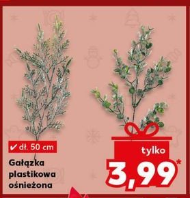 Gałązka ośnieżona 50 cm promocja w Kaufland