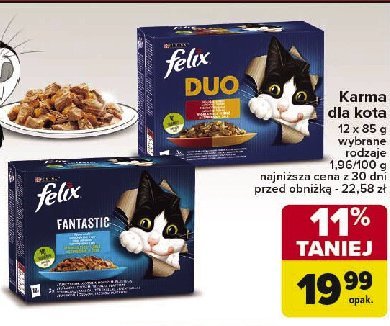 Karma dla kota rybne smaki Purina felix fantastic duo promocja