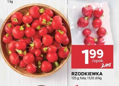 Rzodkiewka 1 opak. promocja w Stokrotka