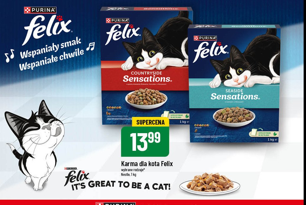 Karma dla kota z łosośiem Purina felix sensations promocja