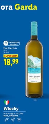 Wino promocja w Lidl