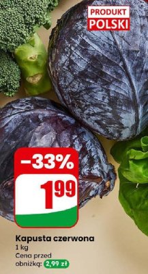 Kapusta czerwona promocja w Dino