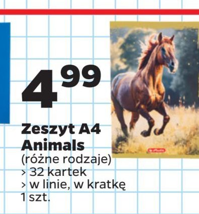 Zeszyt a4/32k linia animals Herlitz promocja