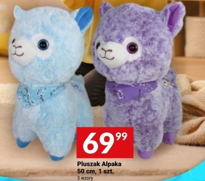 Pluszak Alpaka 50 cm 1 szt. promocja w Twój Market