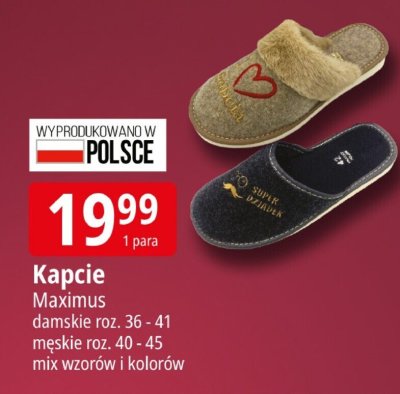 Kapcie Maximus damskie roz. 36 - 41 promocja w Leclerc