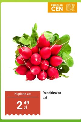Rzodkiewka pęczek promocja w Dino