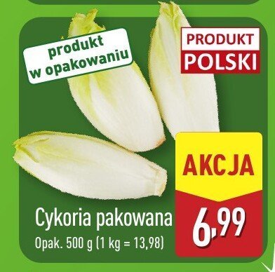 Cykoria pakowana promocja w Aldi