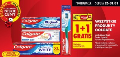 Szczoteczka do zębów Premium promocja w Biedronka