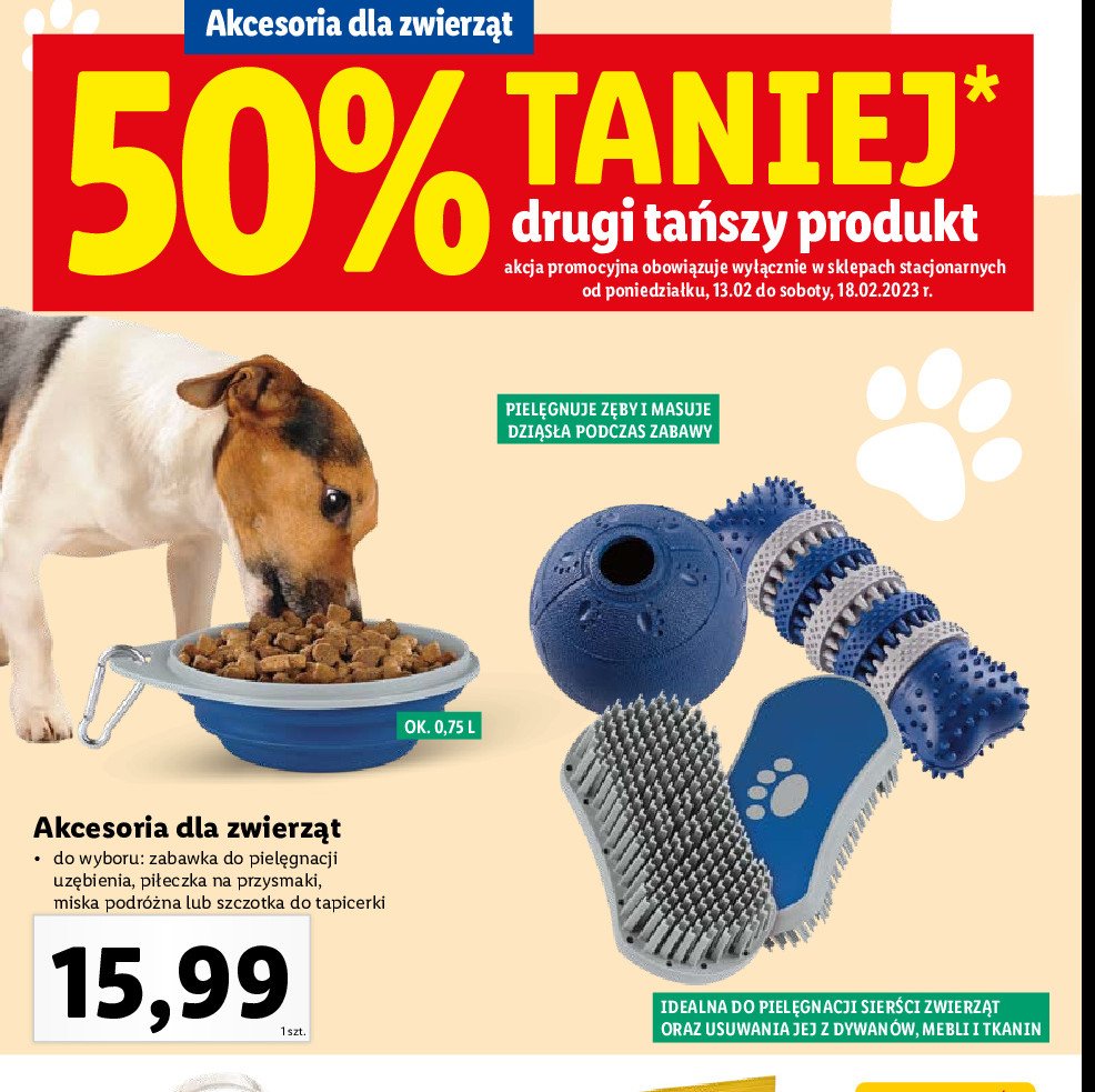 Pi艂ka na przysmaki Zoofari promocja