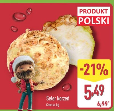Seler korzeń promocja w Aldi