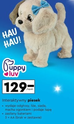Interaktywny piesek  promocja w Biedronka