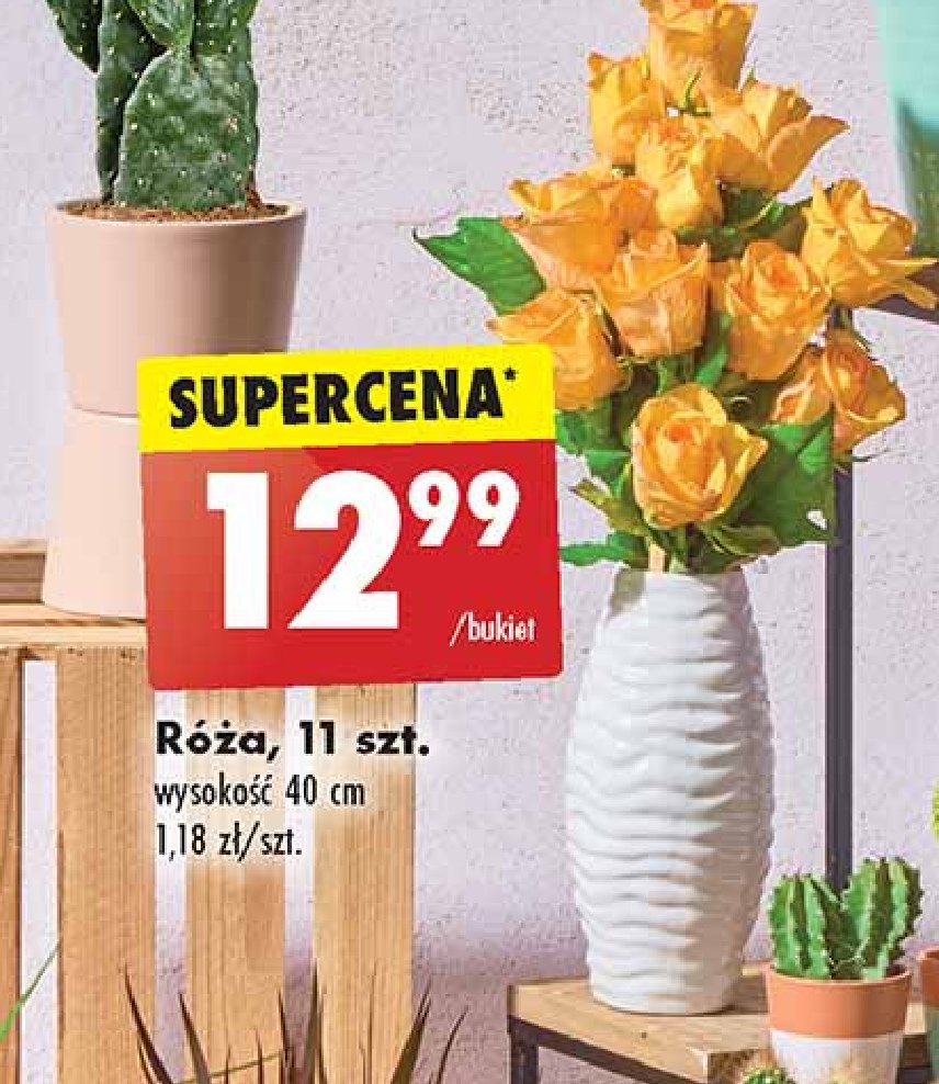 Róże 40 cm promocja