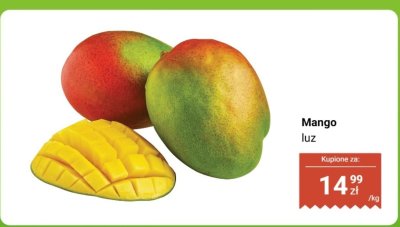 Mango luz promocja w Dino