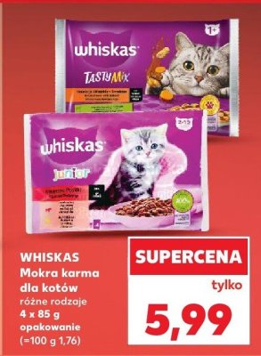 Mokra karma dla kotów różne rodzaje promocja w Kaufland