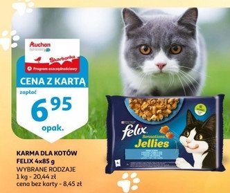 Karma dla kota rybne smaki w galaretce promocja