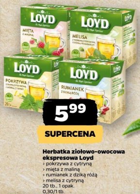 Herbatka ziołowo-owocowa ekspresowa: pokrzywa z cytryną, imbir z trawą cytrynową, rumianek z dziką różą, melisa z cytryną promocja w Netto