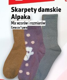 Skarpety damskie Alpaka promocja w TOPAZ