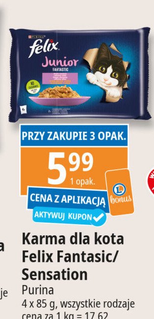 Karma dla kotów smaki rybne w galaretce Purina felix sensations promocja