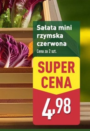 Sałata rzymska mini czerwona promocja w Aldi