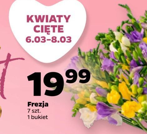 Frezja bukiet promocja