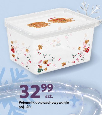 Pojemnik do przechowywania 40 l Actuel promocja w Auchan