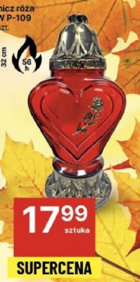 Znicz róża P-109 promocja w Delikatesy Centrum