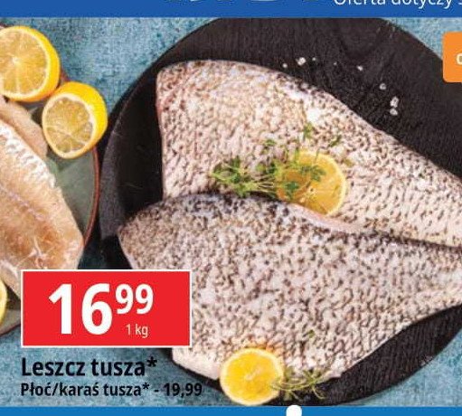 Leszcz tusza promocja