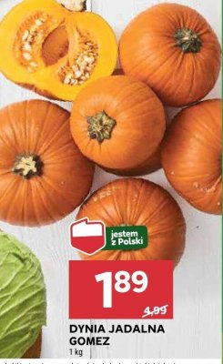 Dynia promocja w Stokrotka