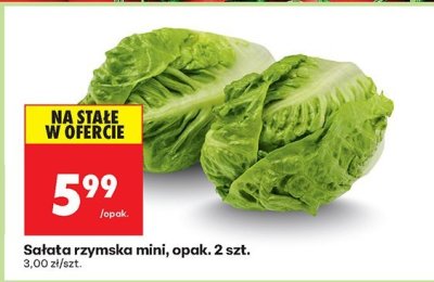 Sałata rzymska mini promocja w Biedronka