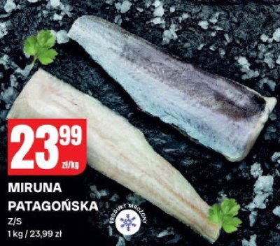 Miruna patagońska ryba promocja w Chorten