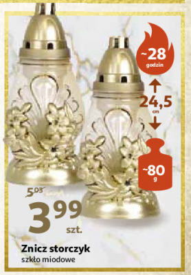 Znicz storczyk promocja w Arhelan