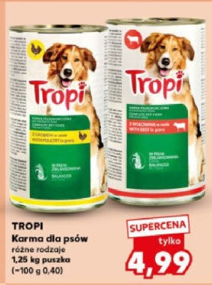 Karma dla psów TROPI różne rodzaje 1,25 kg puszka promocja w Kaufland