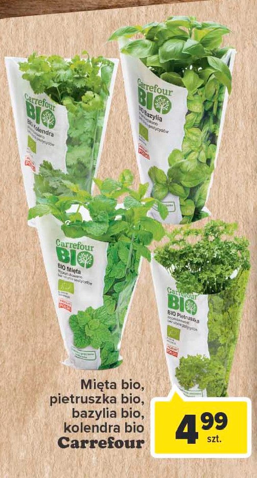 Kolendra Carrefour bio promocja