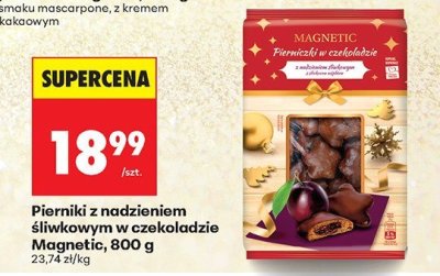 Pierniki z nadzieniem śliwkowym w czekoladzie Magnetic, 800 g promocja w Biedronka