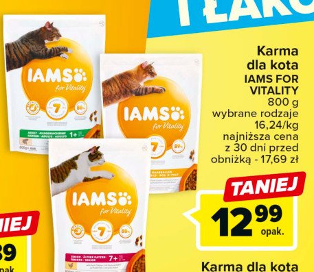 Karma dla kota z łososiem Iams for vitality promocja