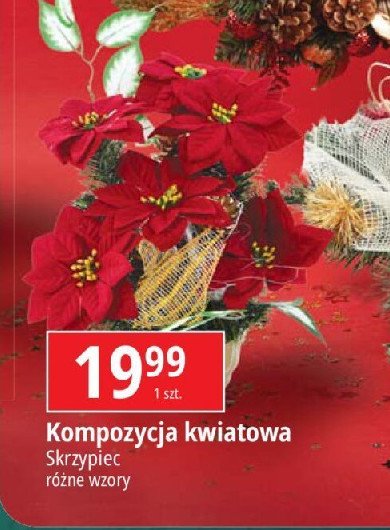 Kompozycja kwiatowa w misce Skrzypiec promocja