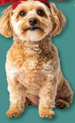 Gazetka Eurospar, strona 21 promocja w SPAR