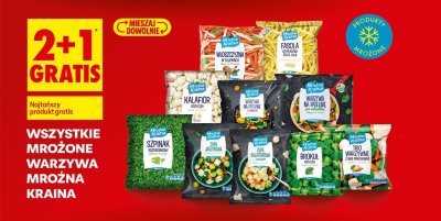 Wszystkie warzywa mrożone 2+1 GRATIS promocja w Biedronka