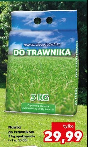 Nawóz do trawników promocja w Kaufland