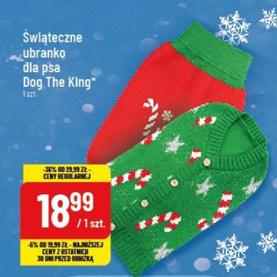 Ubranko dla psa promocja w POLOmarket