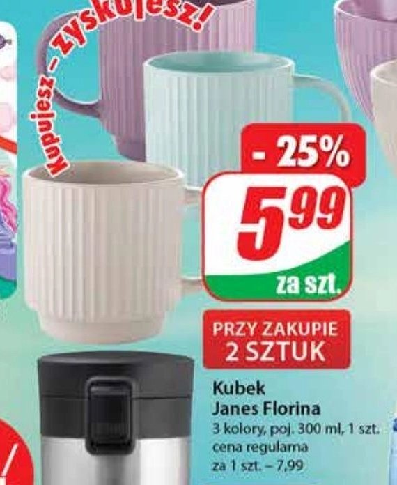 Kubek janes 300 ml Florina (florentyna) promocja