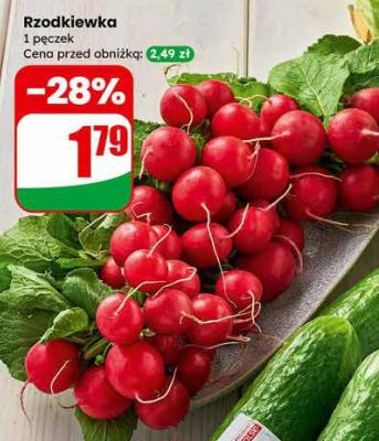 Rzodkiewka promocja w Dino